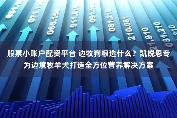 股票小账户配资平台 边牧狗粮选什么？凯锐思专为边境牧羊犬打造全方位营养解决方案
